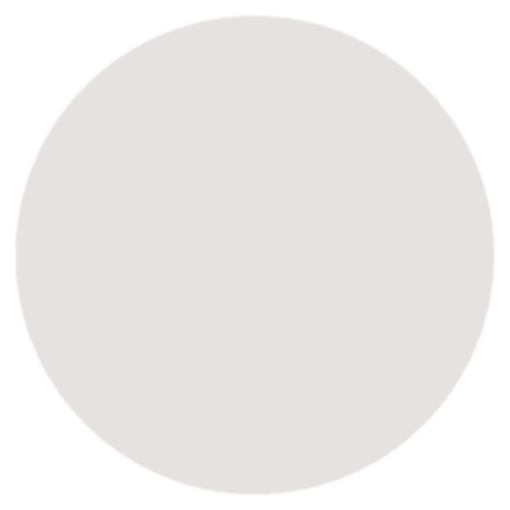 Round Acrylic Base 10cm 10pcs (Clear)