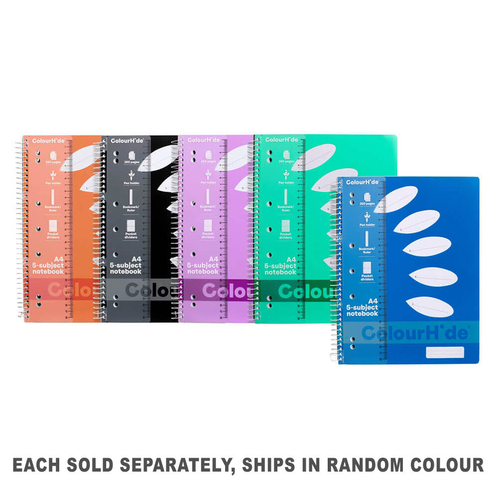 Colourhide 5-Themen-Notizbuch A4 250 Seiten
