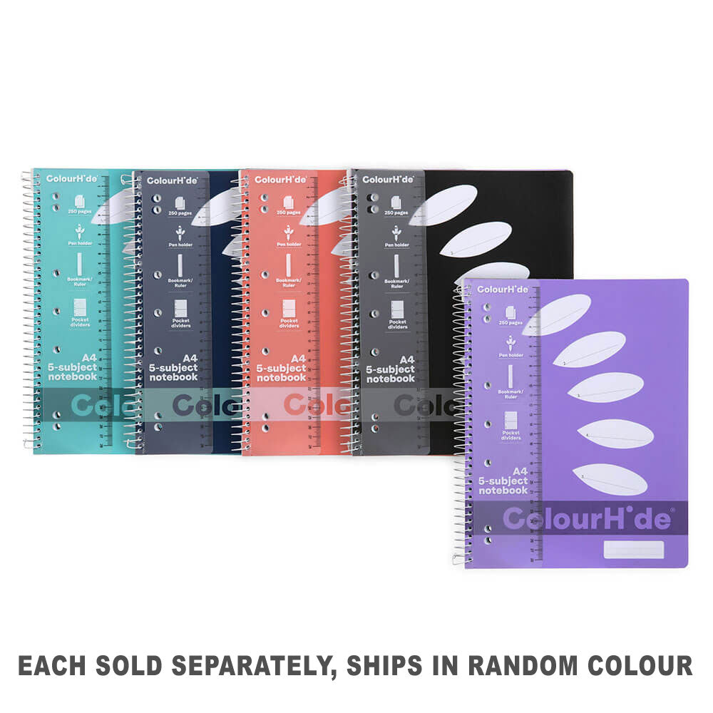 Colourhide 5-Themen-Notizbuch A4 250 Seiten