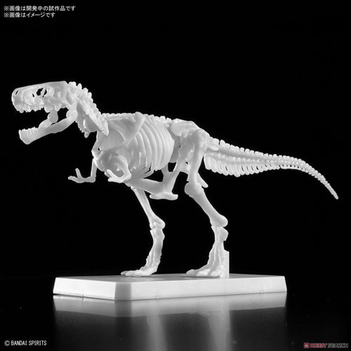 Plannosaurus Tyrannosaurus Painting Version Model