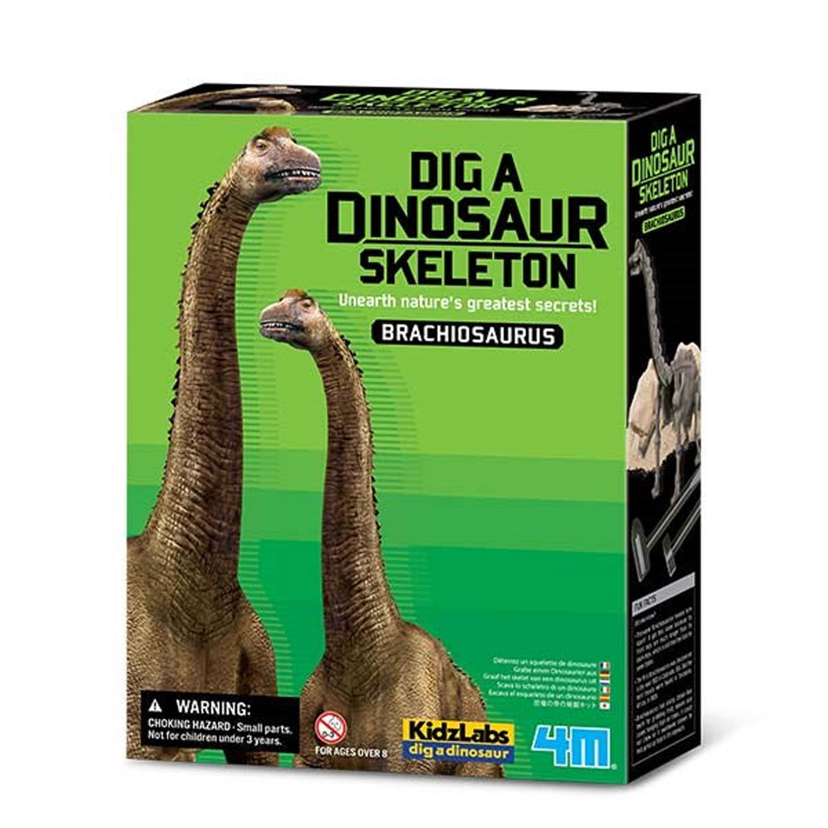 4M Dig a Dinosaur