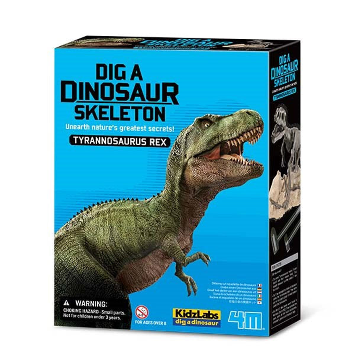 4M Dig a Dinosaur