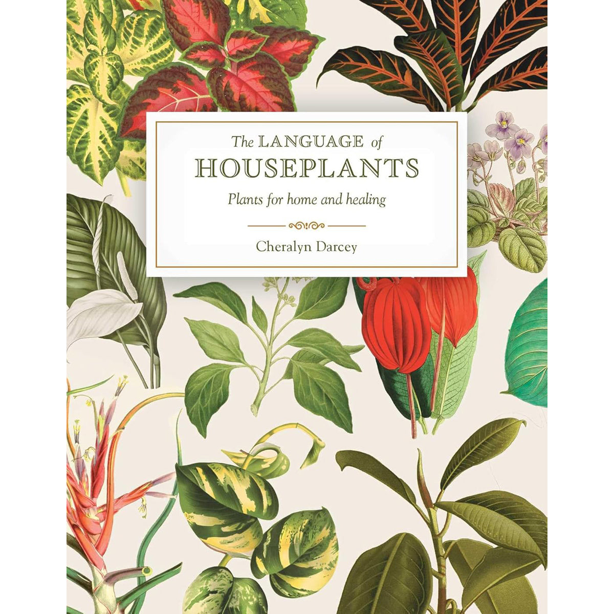 Language of Houseplants: Plants for Home and Healing